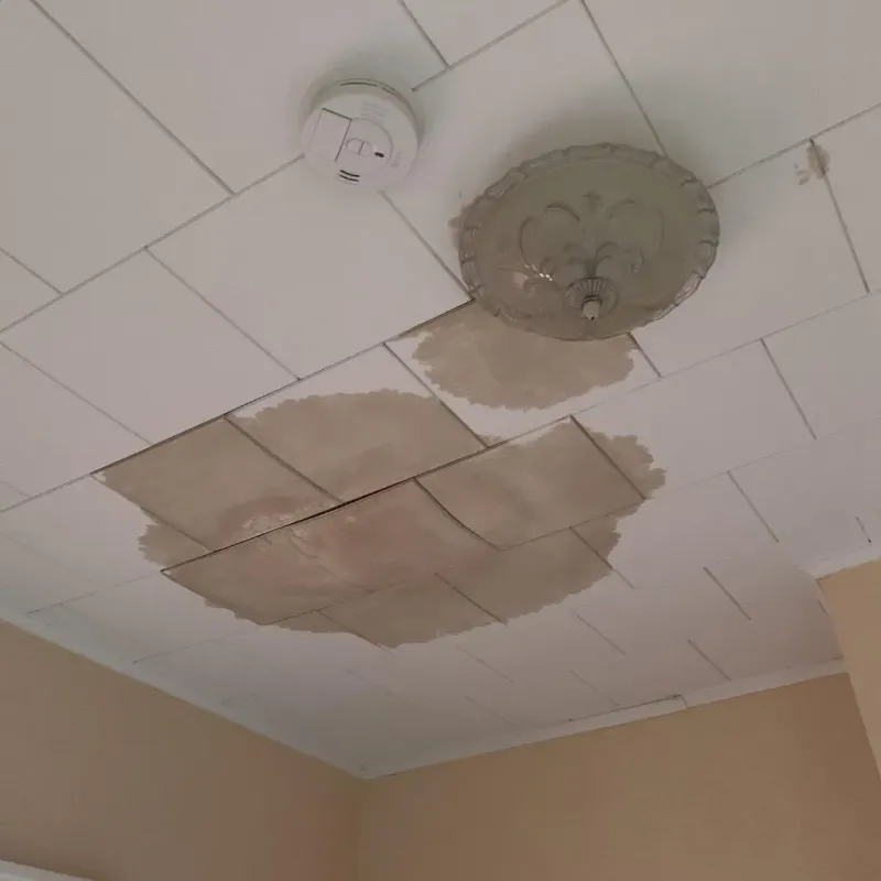 Ceiling Water Damage Repair in Johnson County, NE