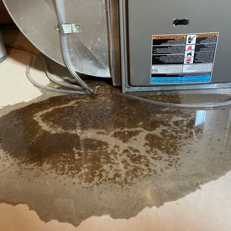 Pipe Burst and Leak Restoration in Johnson County, NE