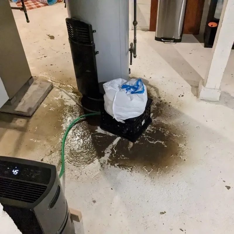 Sewage Backup Cleanup Service in Johnson County, NE